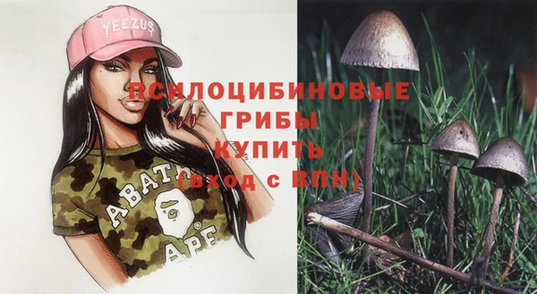 молекула духа Алзамай