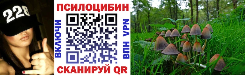 как найти   Кимры  Псилоцибиновые грибы прущие грибы 